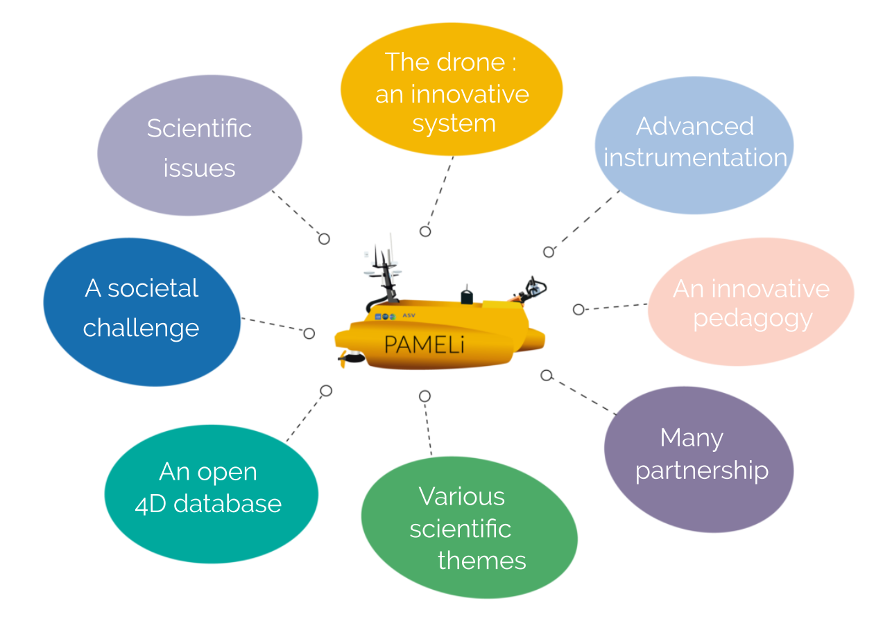 Pameli concept 1